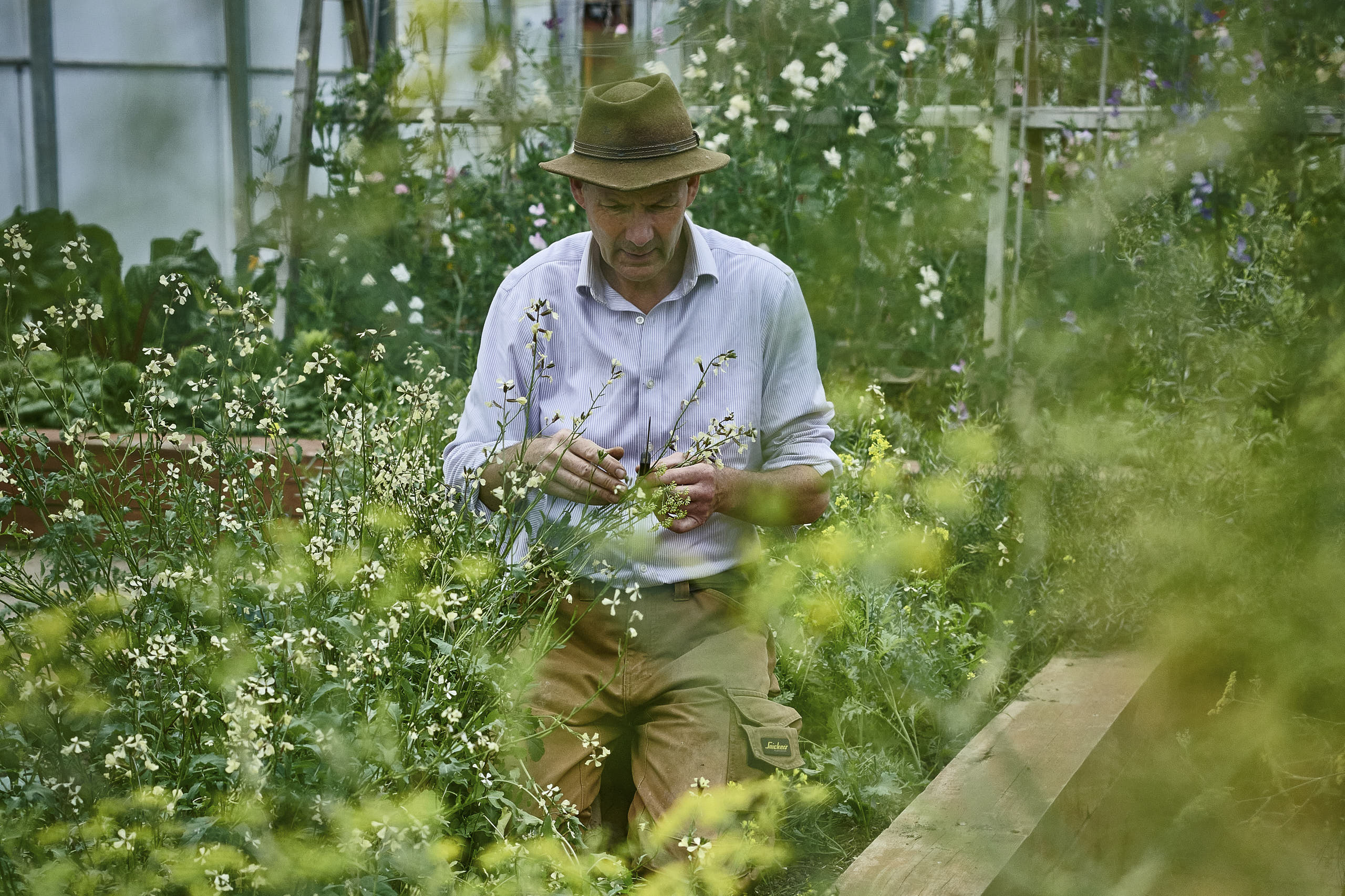 012_Growers + Farmers 1
