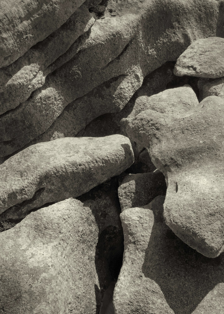 01_Landscape_0189_1