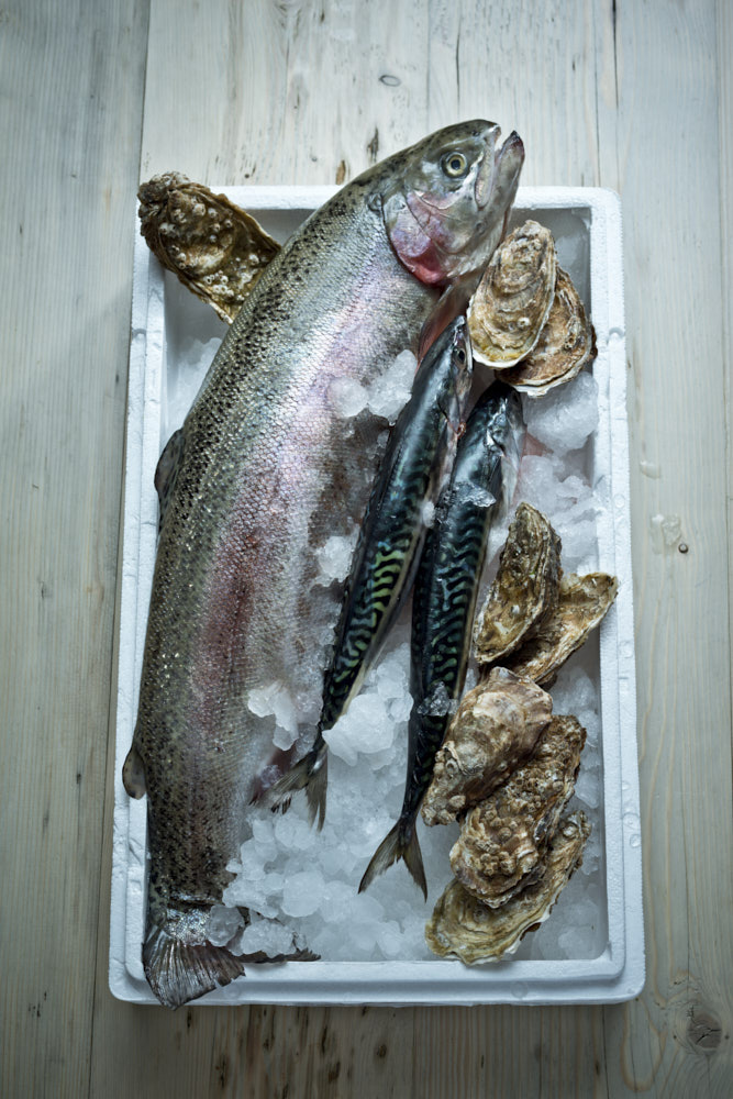 Seafood_Ely_Fish_DSC2489